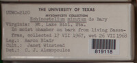 Image Associated With the Occurence